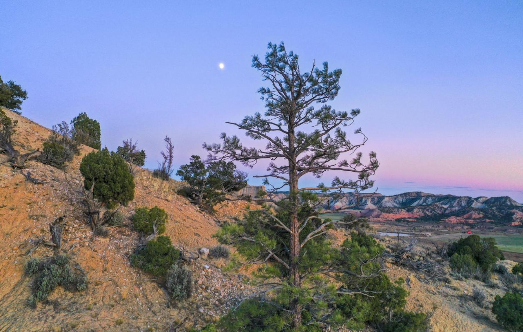 Clear Sky Resorts - Bryce Canyon - Unique Stargazing Domes キャノンビル エクステリア 写真